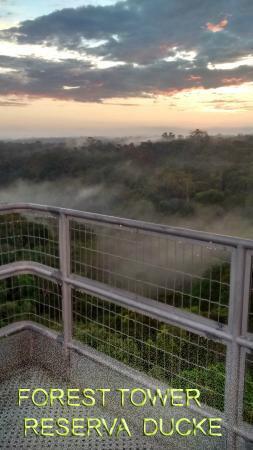 Apartment Aguasclaras Residencial *